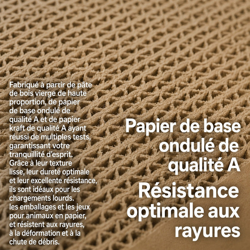 pidan — Griffoir boîte en carton, 3 surfaces
