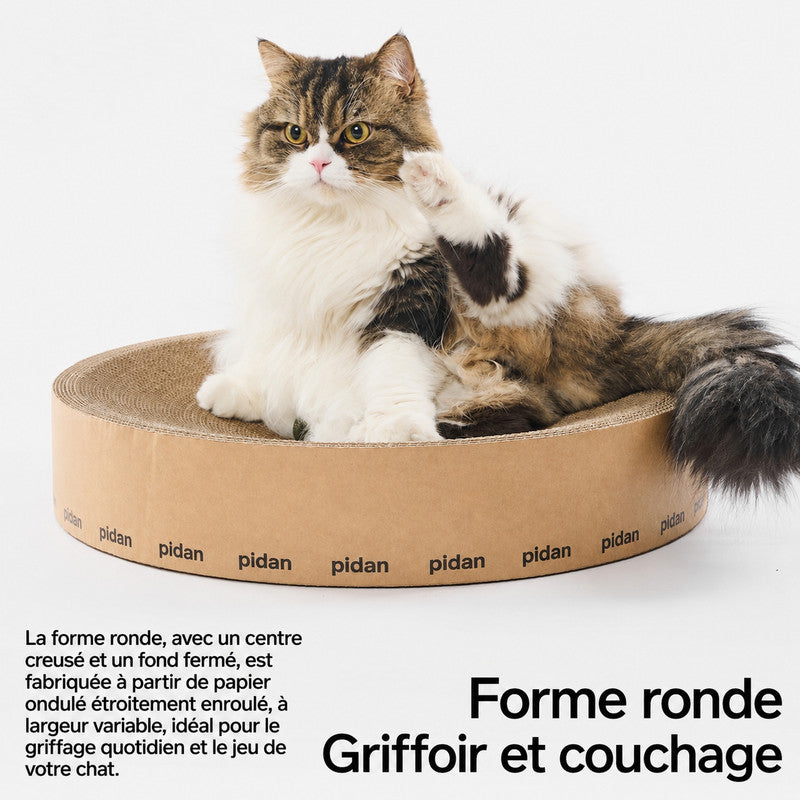 pidan — Griffoir rond en carton 2-en-1