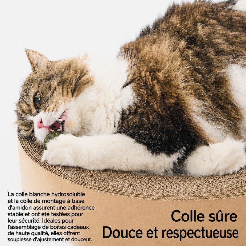 pidan — Griffoir rond en carton 2-en-1