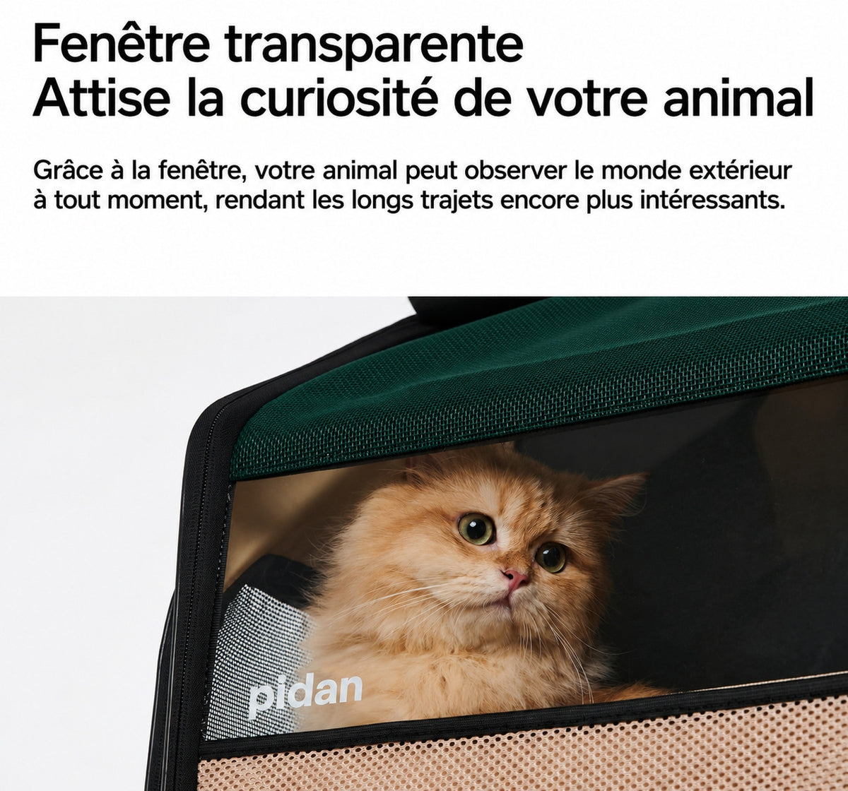 pidan — Sac de transport extensible avec bac à litière